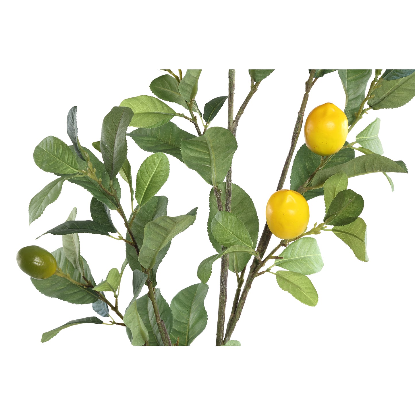 PTMD - Gerfiblóm Green Lemon Large