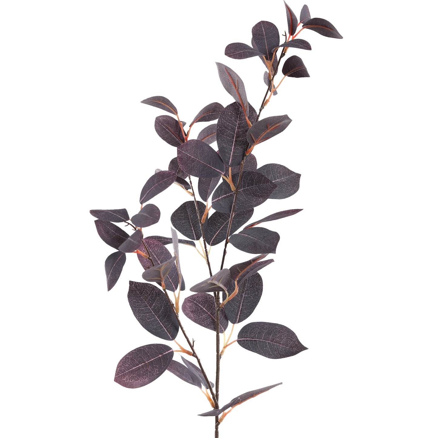 PTMD - Gerfiblóm Purple Eucalyptus