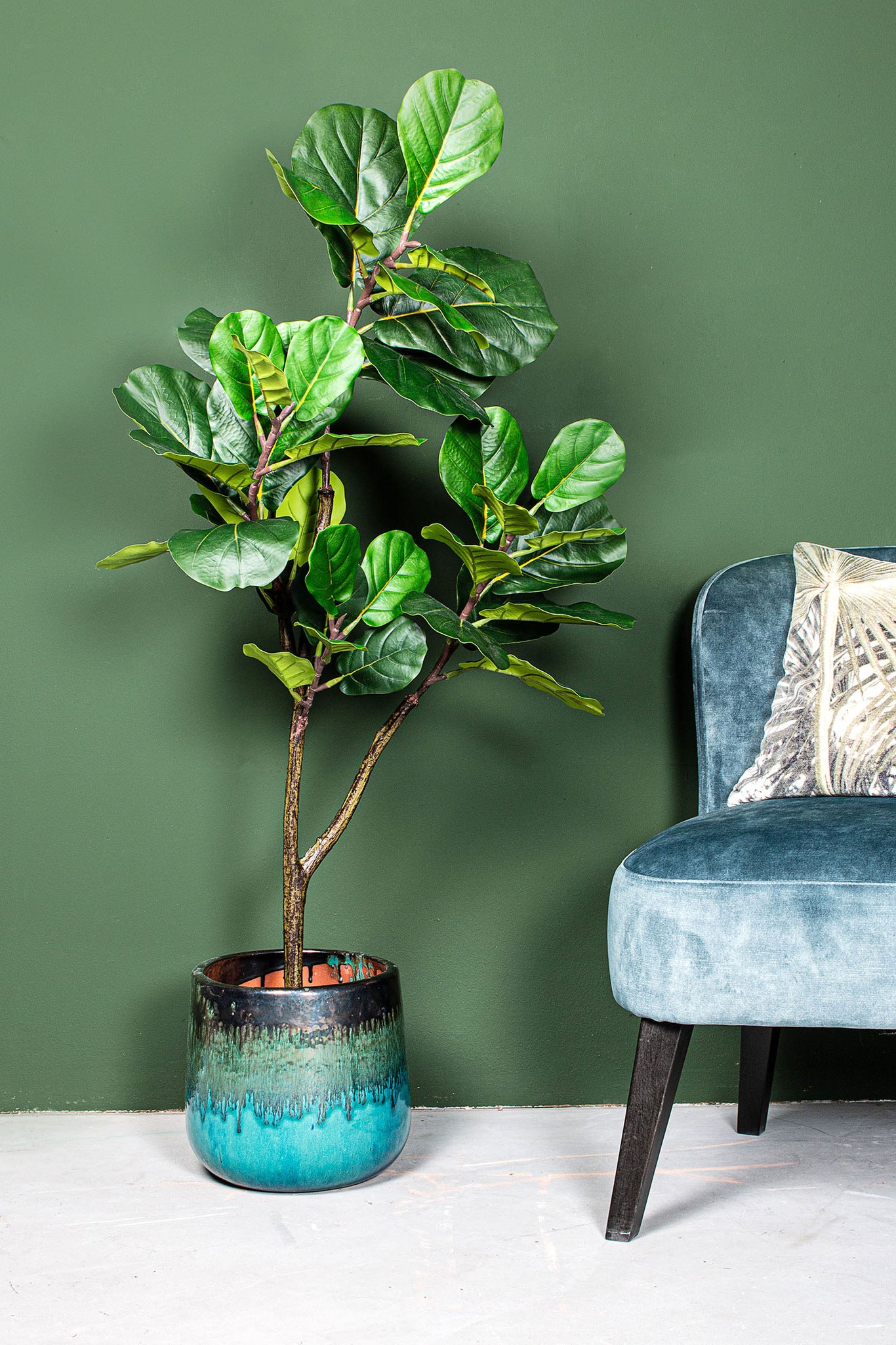 PTMD - Gerfiblóm Fiddle Leaf Fig