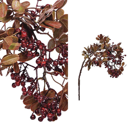 PTMD - Berry Plant Burgundy