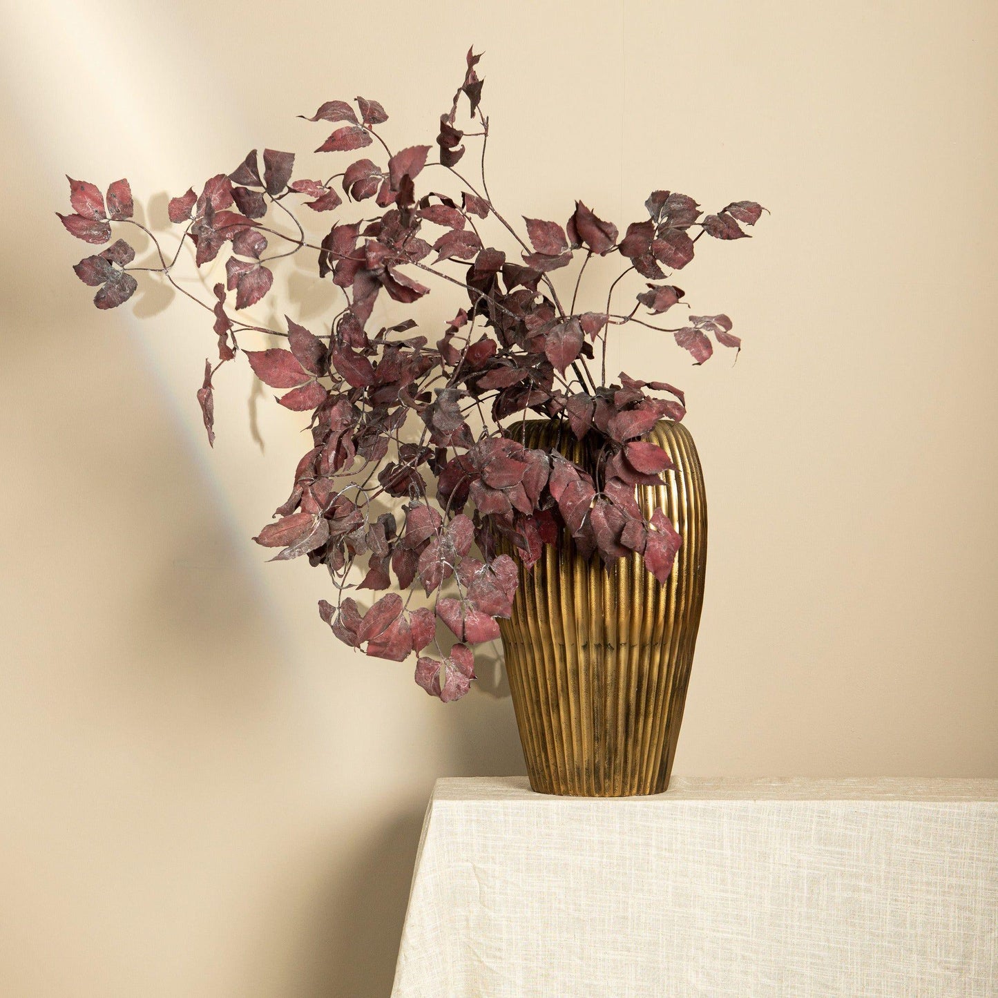 PTMD - Burgundy Pathenocissus Lauf