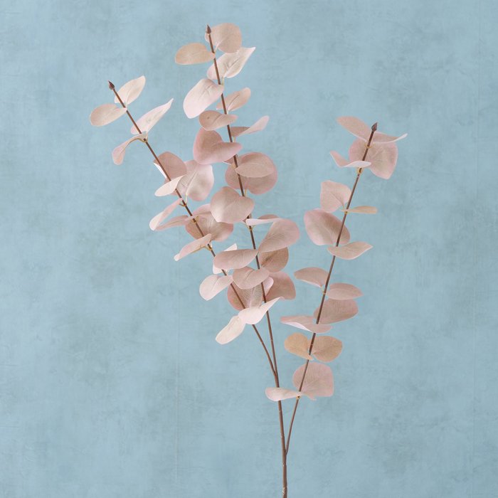 Gerfiblóm - Eucalyptus Light Rose