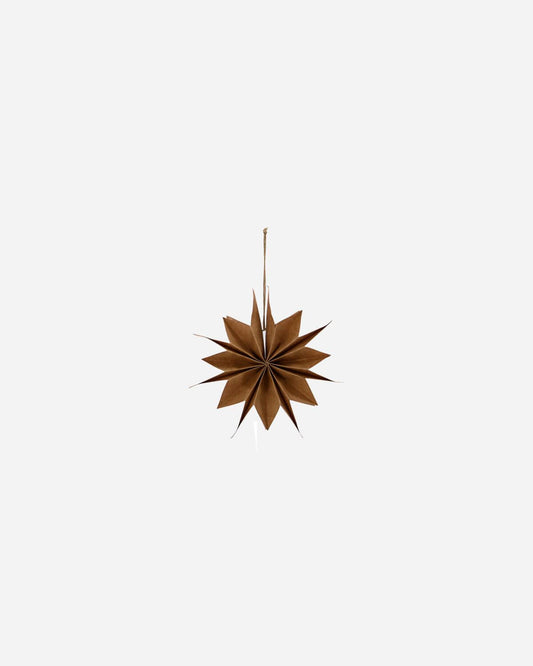 Pappastjarna - Natur 20cm